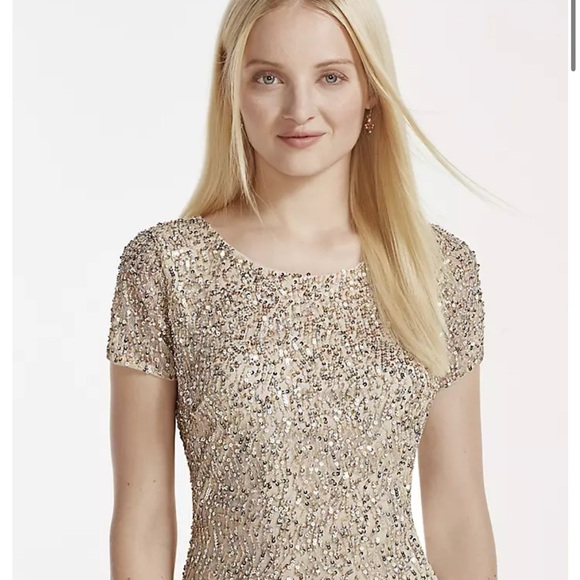 Rose Gold Sequin cocktail Dress with fringe on the bottom - Picture 2 of 9